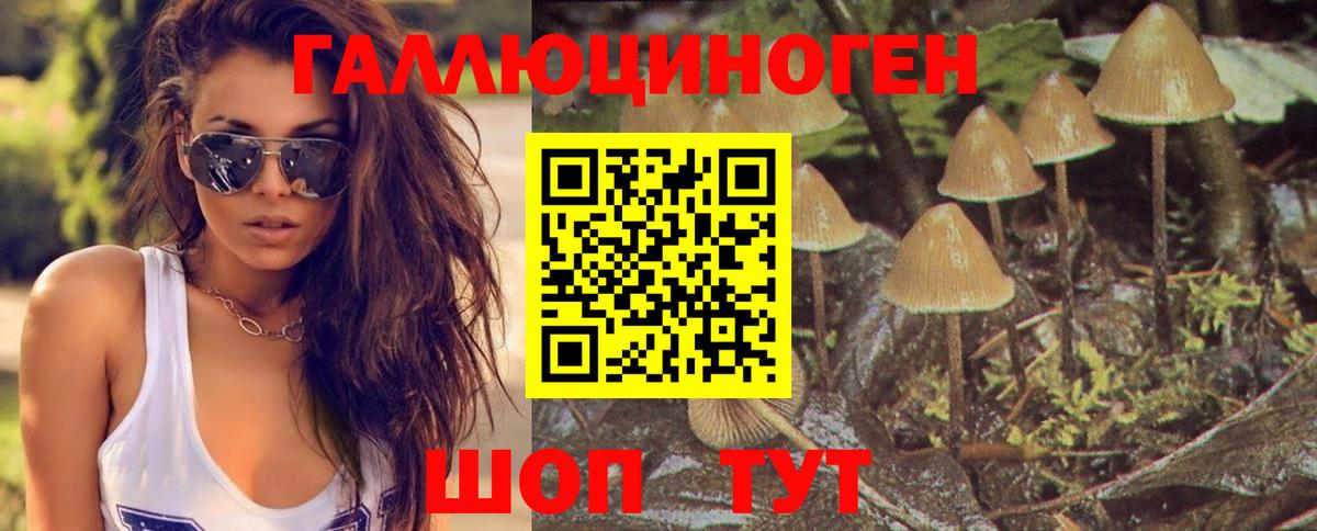Воткинск  купить закладку  Вход с VPN  Галлюциногенные грибы мухоморы 