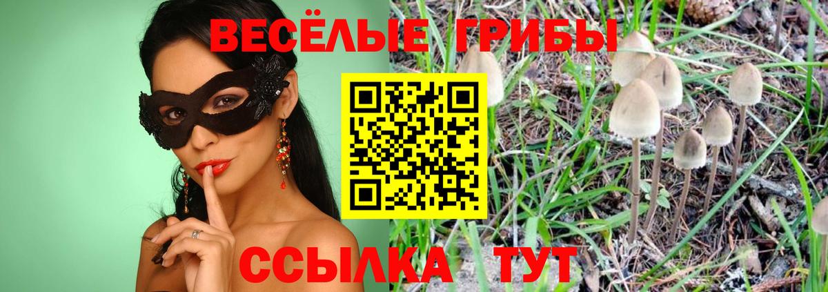 Псилоцибиновые грибы MAGIC MUSHROOMS Воткинск